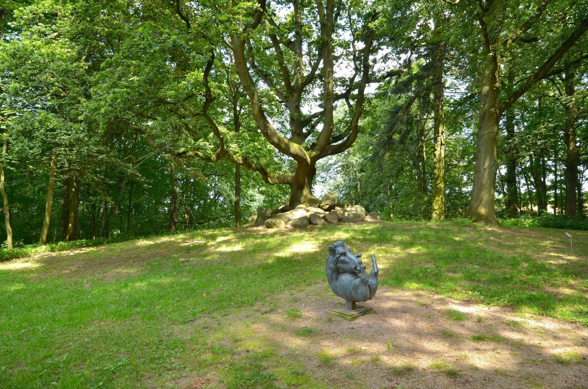 Jagdschloss Zu Hohen Niendorf Fewo 2 ภายนอก รูปภาพ